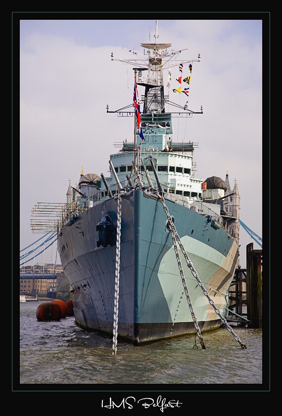 IMG_5272 5D